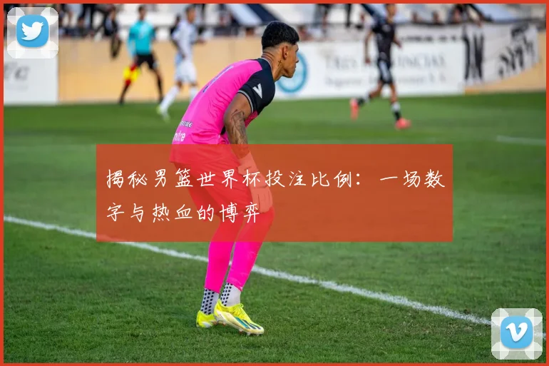 揭秘男篮世界杯投注比例：一场数字与热血的博弈
