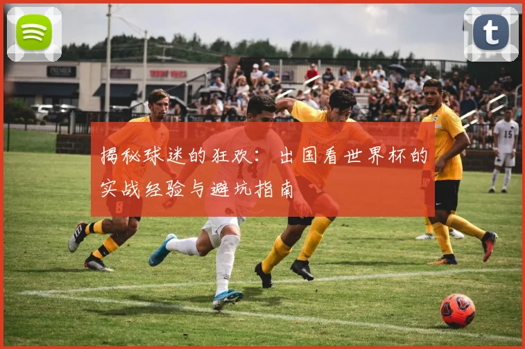 揭秘球迷的狂欢：出国看世界杯的实战经验与避坑指南
