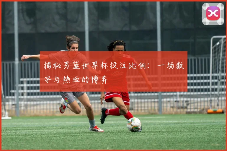 揭秘男篮世界杯投注比例：一场数字与热血的博弈