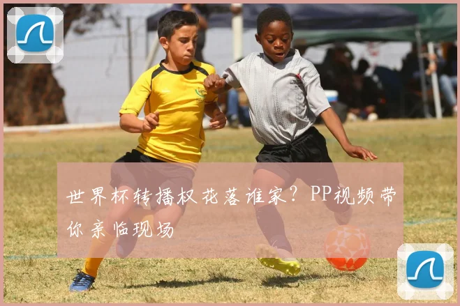世界杯转播权花落谁家?PP视频带你亲临现场