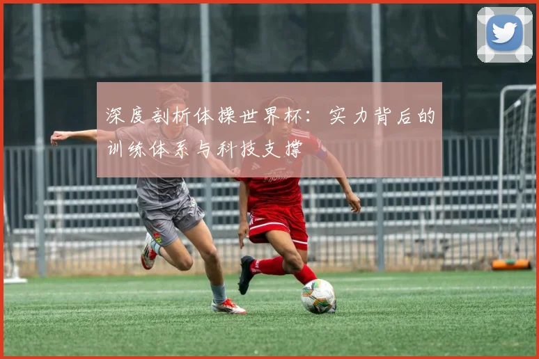 深度剖析体操世界杯：实力背后的训练体系与科技支撑
