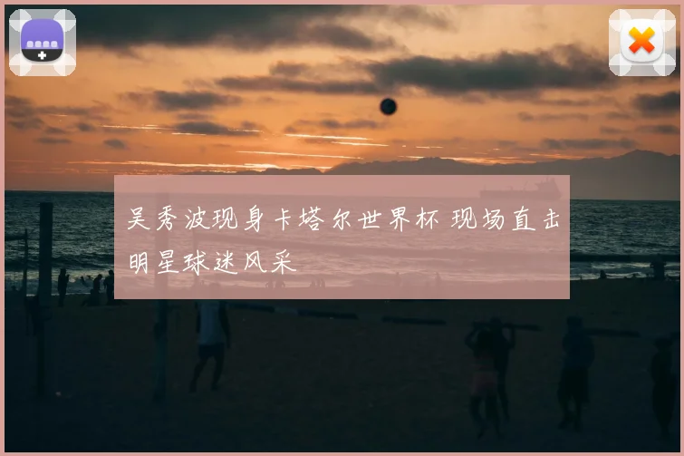 吴秀波现身卡塔尔世界杯 现场直击明星球迷风采