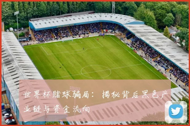 世界杯赌球骗局:揭秘背后黑色产业链与资金流向