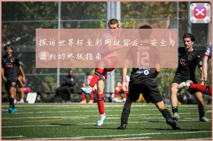 探访世界杯竞彩网址背后：安全与盈利的终极指南