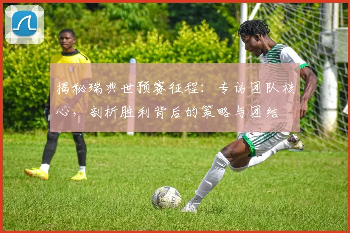 揭秘瑞典世预赛征程：专访团队核心，剖析胜利背后的策略与团结